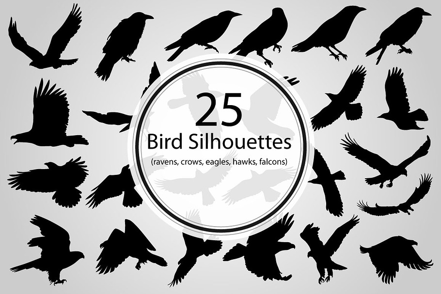 25 Bird Silhouettes (Vector) in Illustrations - product preview 8