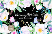 Watercolor Clipart Peony White