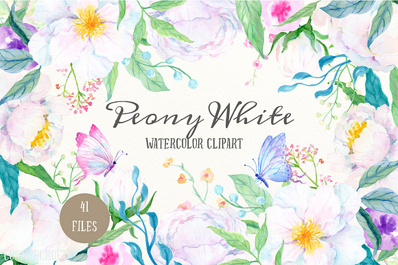 Watercolor Clipart Peony White in Illustrations - product preview 1