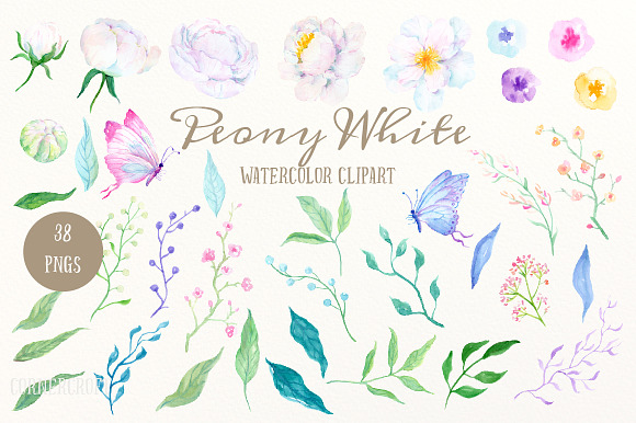 Watercolor Clipart Peony White in Illustrations - product preview 2