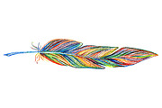 Rainbow colorful bird feather vector