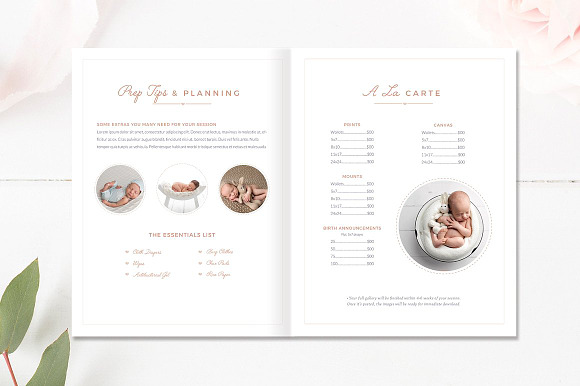 Newborn Photo Magazine INDD in Magazine Templates - product preview 2