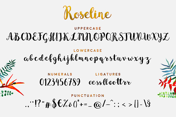 Roseline - Pretty Fancy Cursive Font in Cursive Fonts - product preview 5