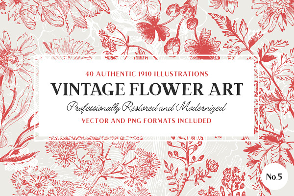 40 Plant & Flower Illustrations No.5