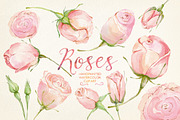 Watercolor clip art cream roses