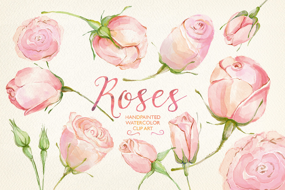 Watercolor clip art cream roses in Illustrations - product preview 8