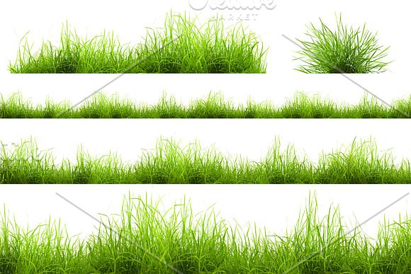 Set of isolated grass in Textures - product preview 1