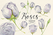 Watercolor clip art lilac roses