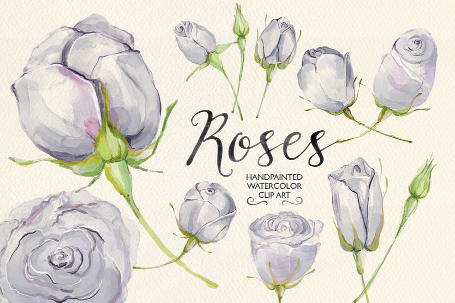 Watercolor clip art lilac roses in Illustrations - product preview 8