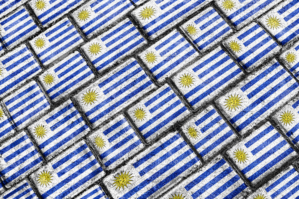 Uruguay Flag Pattern in Patterns - product preview 8