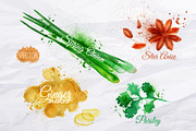 Herbs spices watercolor