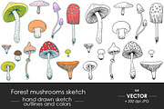Forest mushrooms sketch