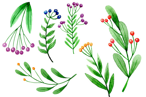 Watercolor floral elements set in Illustrations - product preview 2