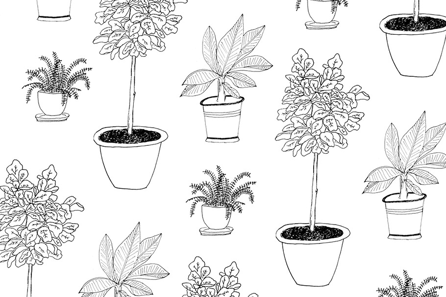 Hand-Drawn Houseplants in Illustrations - product preview 8