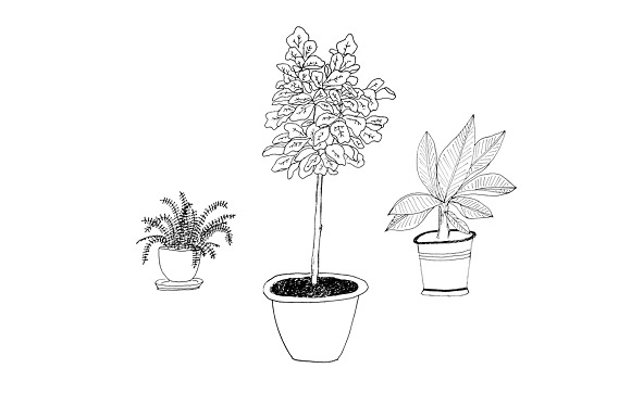 Hand-Drawn Houseplants in Illustrations - product preview 1