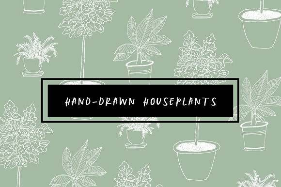 Hand-Drawn Houseplants in Illustrations - product preview 2