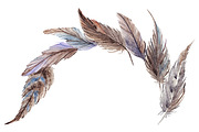 Watercolor bird feather composition