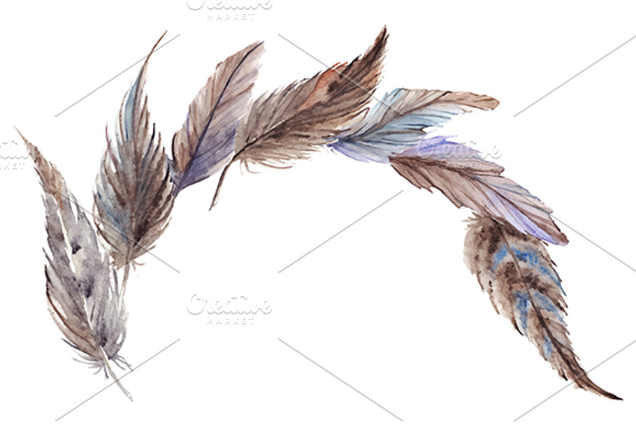 Watercolor bird feather composition in Illustrations - product preview 8