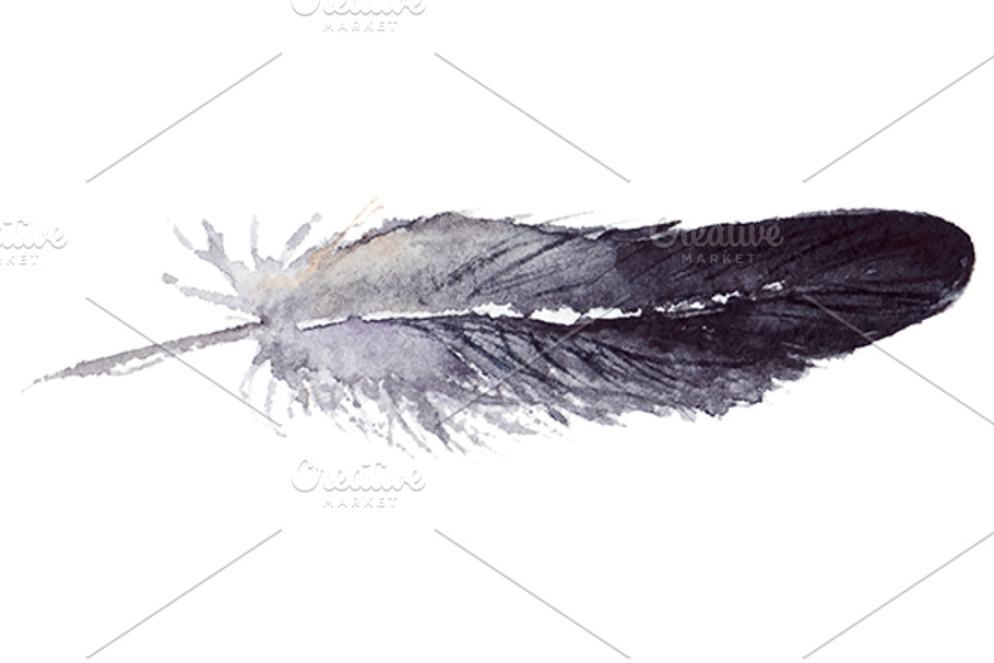 Watercolor black jay feather vector in Illustrations - product preview 8