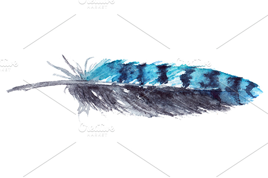 Watercolor blue jay feather vector in Illustrations - product preview 8