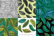 6 illustrations with banana leaves