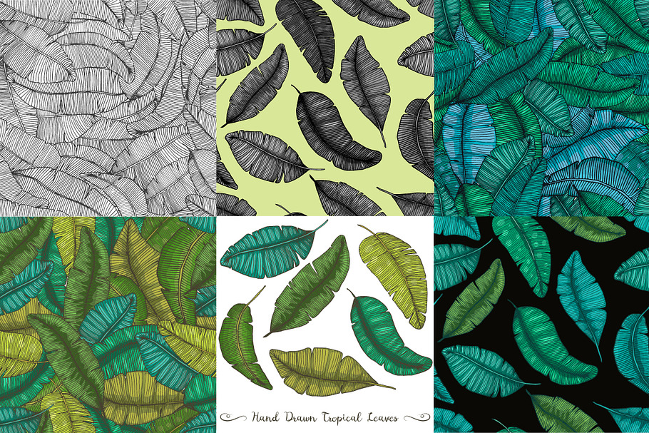 6 illustrations with banana leaves in Textures - product preview 8