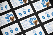 Business Card Veterinary