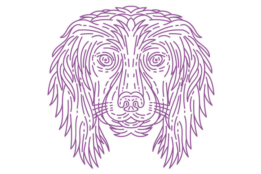 English Cocker Spaniel Dog Head  in Illustrations - product preview 8