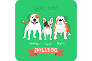 Set 3 bulldogs flat design