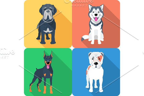 Set 9 dog icon flat design
