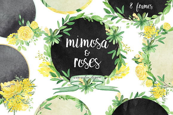 -50% Mimosa & roses flowers in Illustrations - product preview 1
