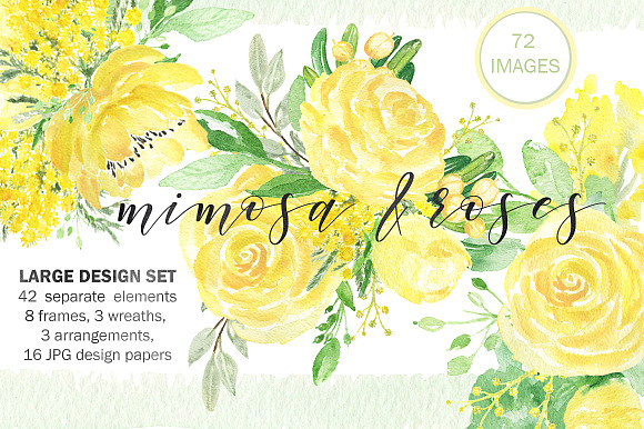 -50% Mimosa & roses flowers in Illustrations - product preview 2