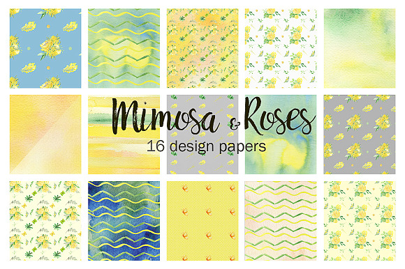 -50% Mimosa & roses flowers in Illustrations - product preview 3
