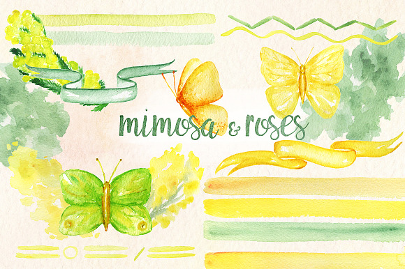 -50% Mimosa & roses flowers in Illustrations - product preview 5