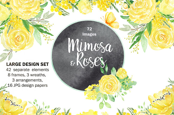 -50% Mimosa & roses flowers in Illustrations - product preview 7