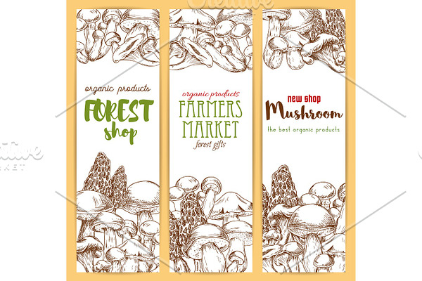 Mushrooms vector sketch banners set