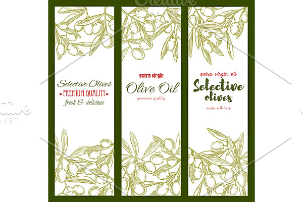 Olive oil and branches vector sketch banners
