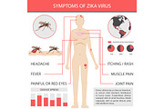 Zika virus infographics with transmission, symptom, prevention and treatment. vector inforgaphic