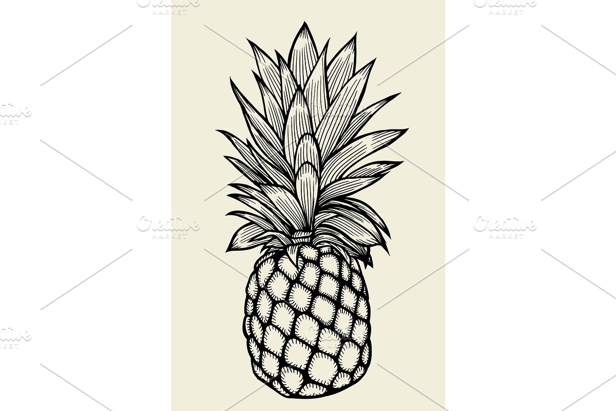 Pineapple vector Illustration in Illustrations - product preview 8