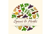 Spices and herbs vector poster
