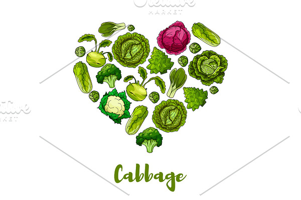 Cabbage vegetable heart shape vector poster
