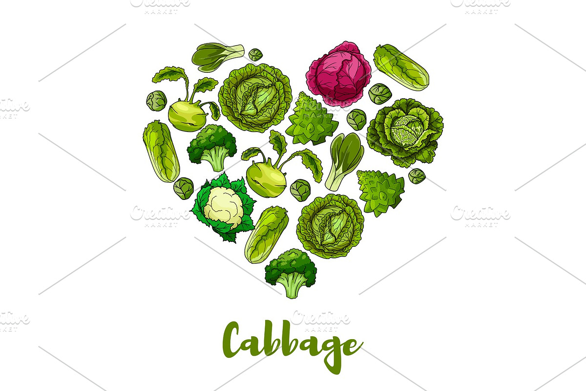 Cabbage vegetable heart shape vector poster in Graphics - product preview 8