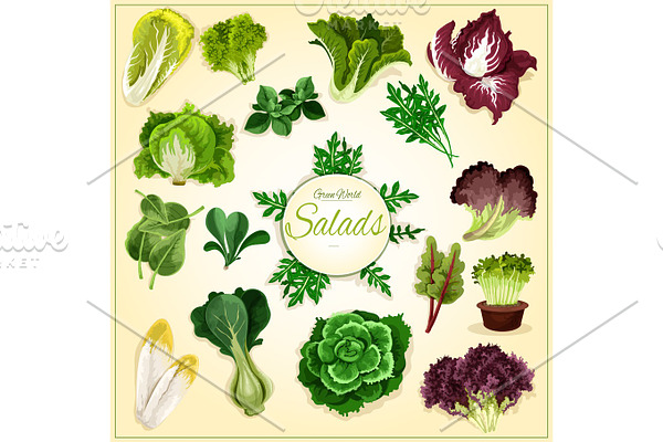 Salad leaf and vegetable greens poster