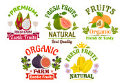 Fresh juicy natural organic fruits icons set