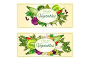 Garden vegetables vector posters, banners