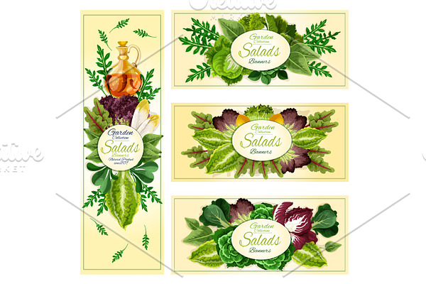 Salad leaf vegetable banner set