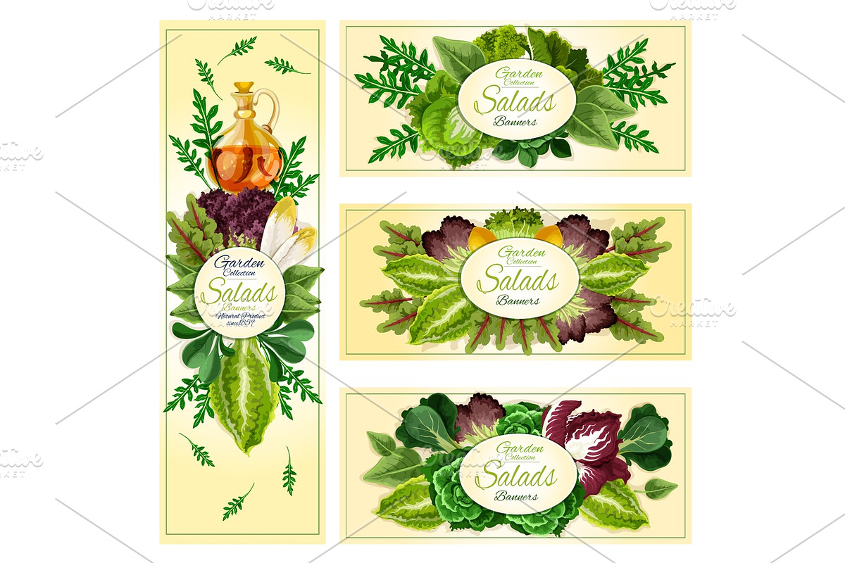 Salad leaf vegetable banner set in Illustrations - product preview 8