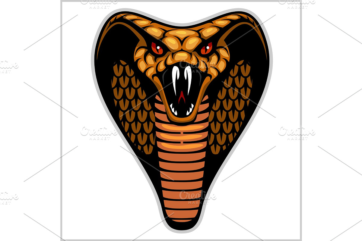 Snake head on white - vector illustration in Illustrations - product preview 8