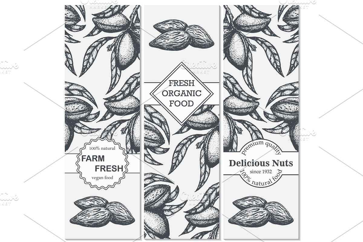 Vector set of templates with hand drawn branch of of almond. in Illustrations - product preview 8