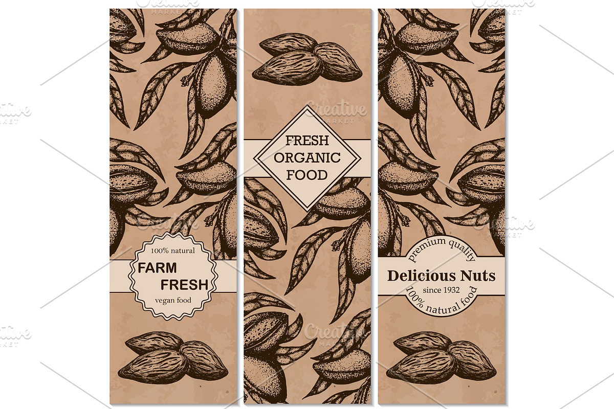 Vector set of hand-drawn patterns with almonds in a retro style. in Illustrations - product preview 8